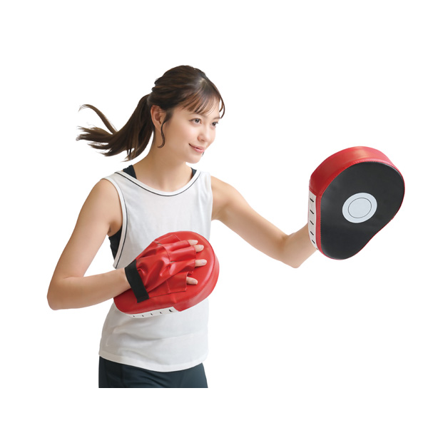 ストレス発散 パンチシリーズ ミット